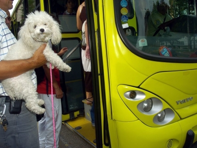 ¿Sabes cómo transportar tu mascota en Metrolínea?