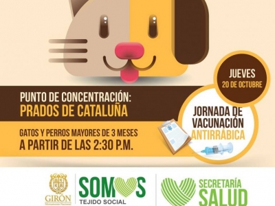 Vacunación gratuita para perros y gatos